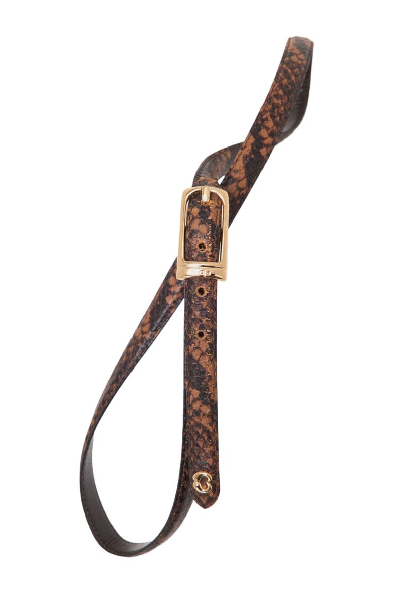 Slim embossed leather belt, Alternate, color, Brown snake print