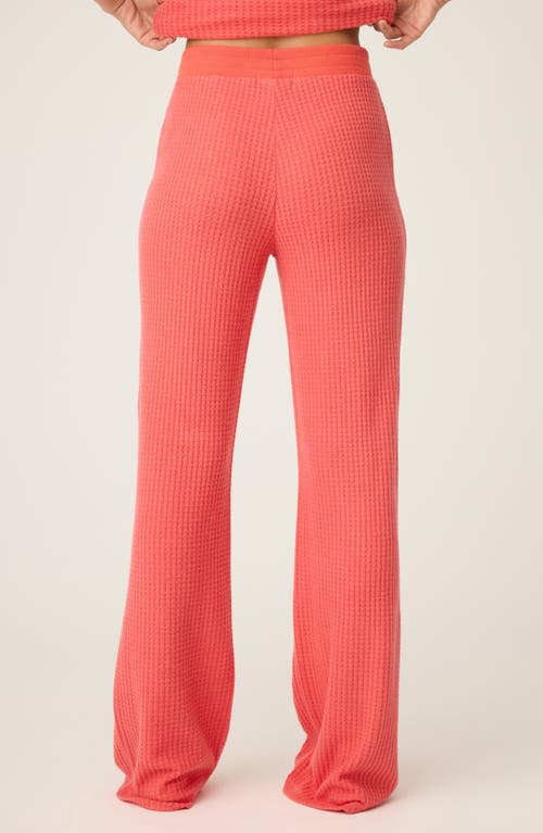 Pj Salvage Morning Waffle Knit Pajama Pants In Red