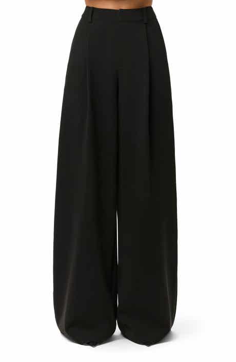 Pleated Wide Leg Pants