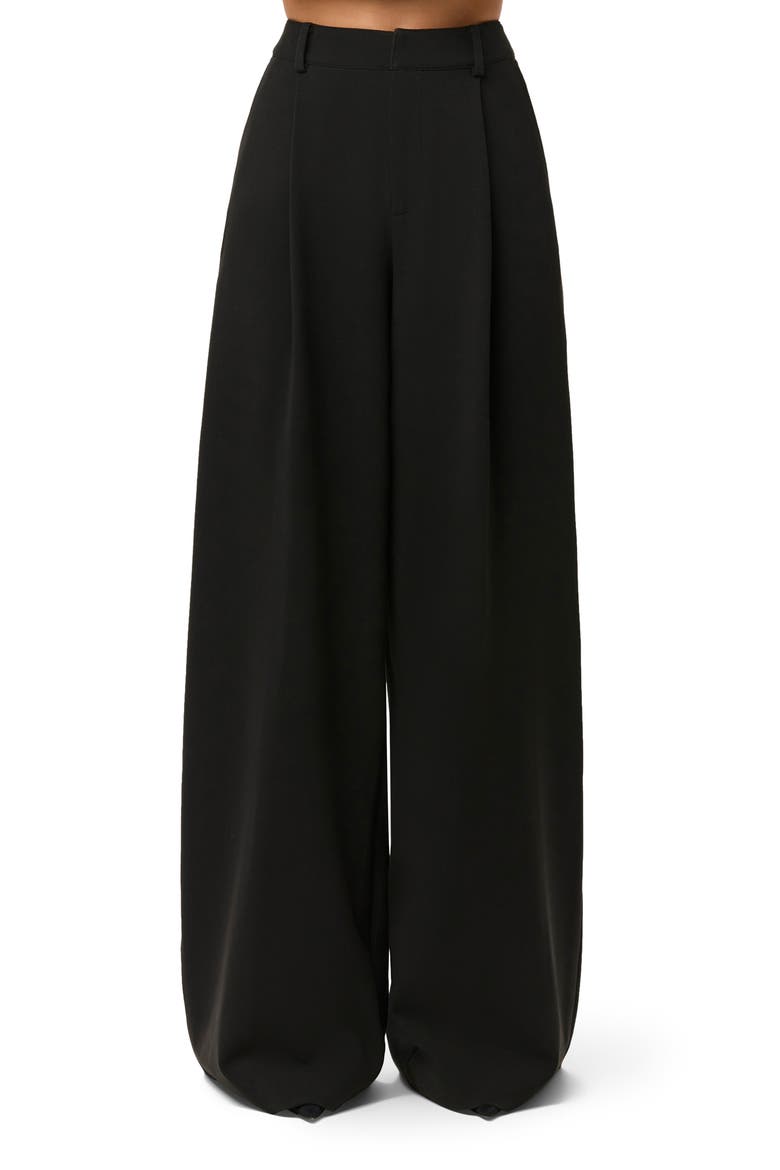 Pleated Wide Leg Pants video