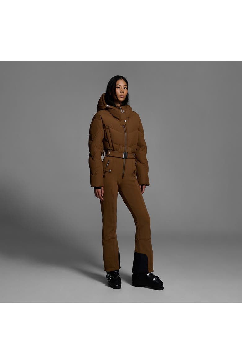 Ajax Snow Suit - Women's, Alternate, color, Sepia