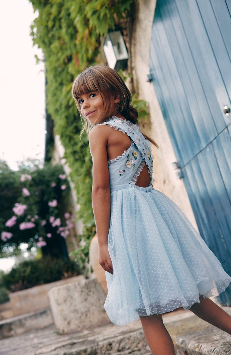 Mini Boden Kids' Embroidered Swiss Dot Tulle Dress, Alternate, color, 