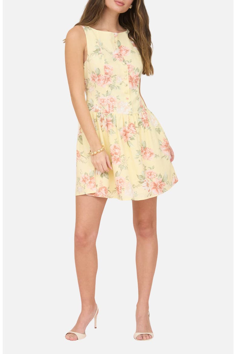 Floral Sleeveless Drop Waist Minidress, Main, color, BUTTER YELLOW MULTI