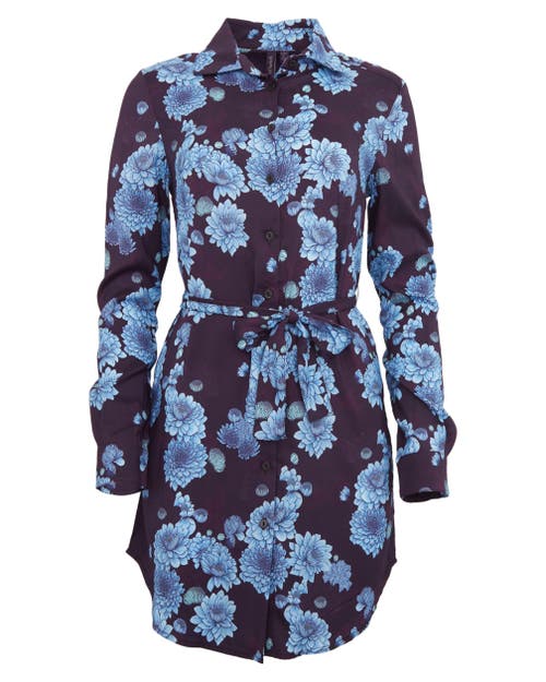 Lords Of Harlech Dorethy Shirt Dress In Blue