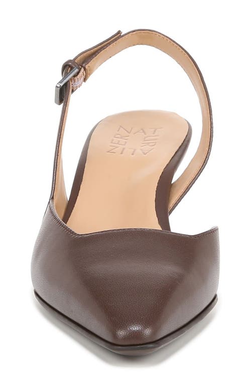 Naturalizer Dalary Slingback Pumps In Brown
