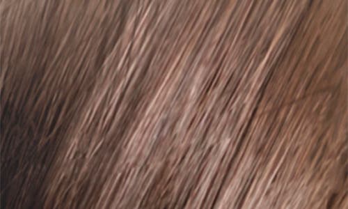 Phyto Color Permanent Hair Color