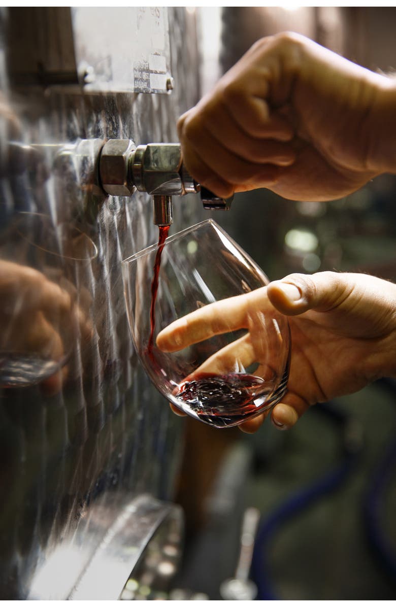 Riedel Ti Amo Stemless Glasses - Set of 4, Alternate, color, 