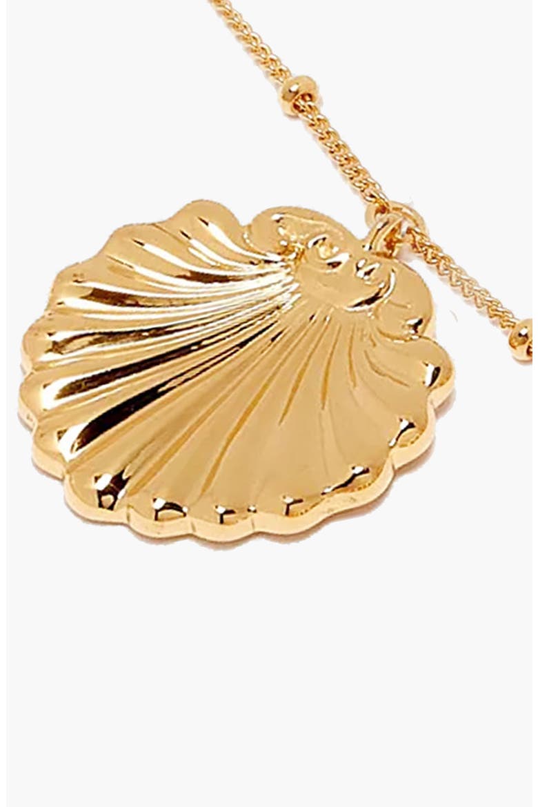 Conchigla Beaded Shell Choker Necklace in Gold, Alternate, color, Gold