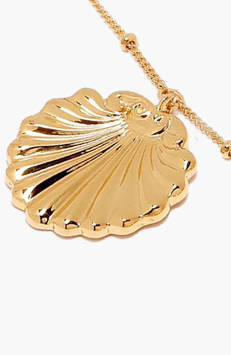 YOJ Conchigla Beaded Shell Choker Necklace in Gold, Alternate, color, Gold