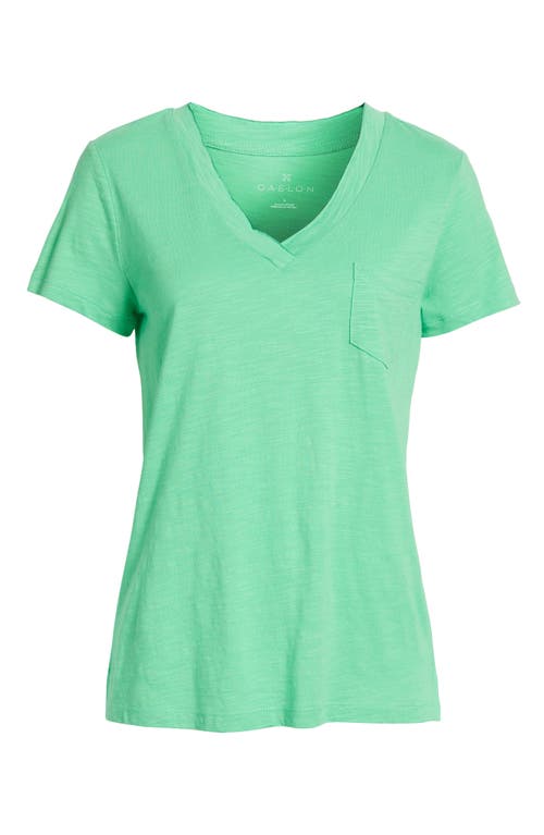 CASLONR CASLON(R) COTTON & MODAL V-NECK T-SHIRT 