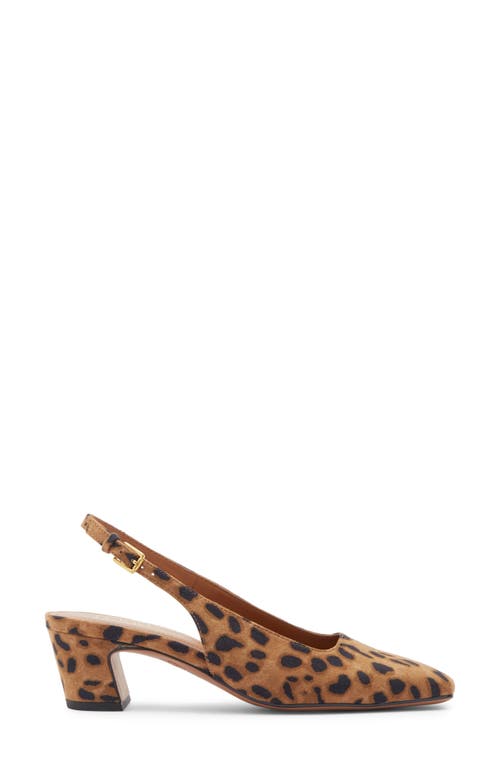 Franco Sarto Shayla Slingback Pump In Brown