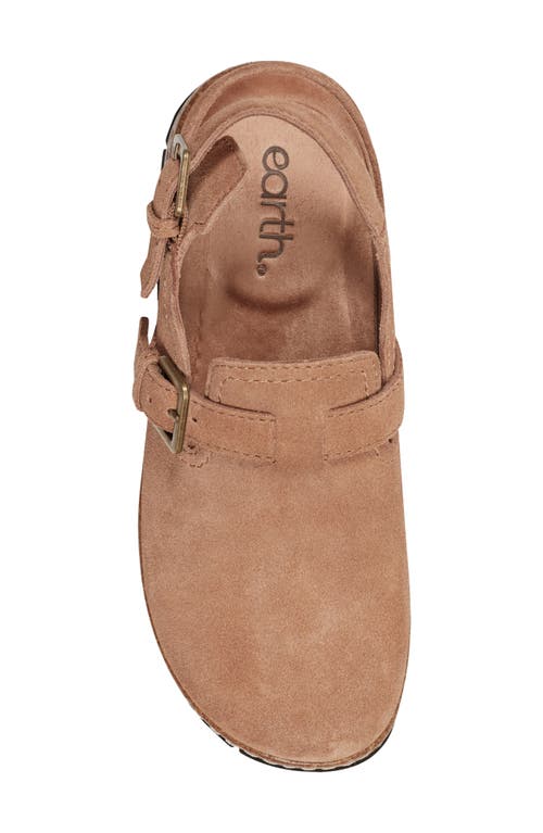 Earth Women's Elmonte Slingback Clogs In Brown