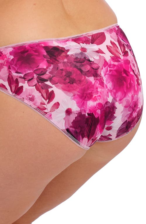 Fantasie Pippa Briefs In Raspberry Ripple