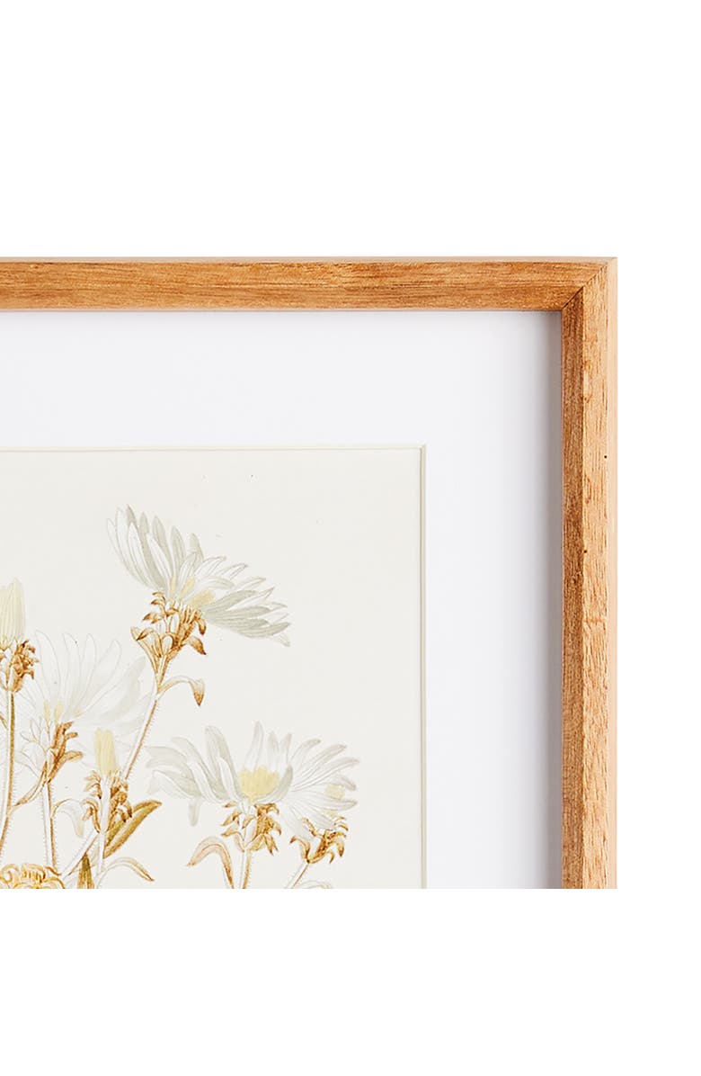 Napa Home & Garden Fleur De Blanc Prints Set of 4, Alternate, color, 