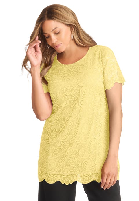 Stretch Lace Tunic (Plus)