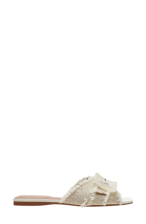 Shop Linea Paolo Lottie Slide Sandal In Natural/gold