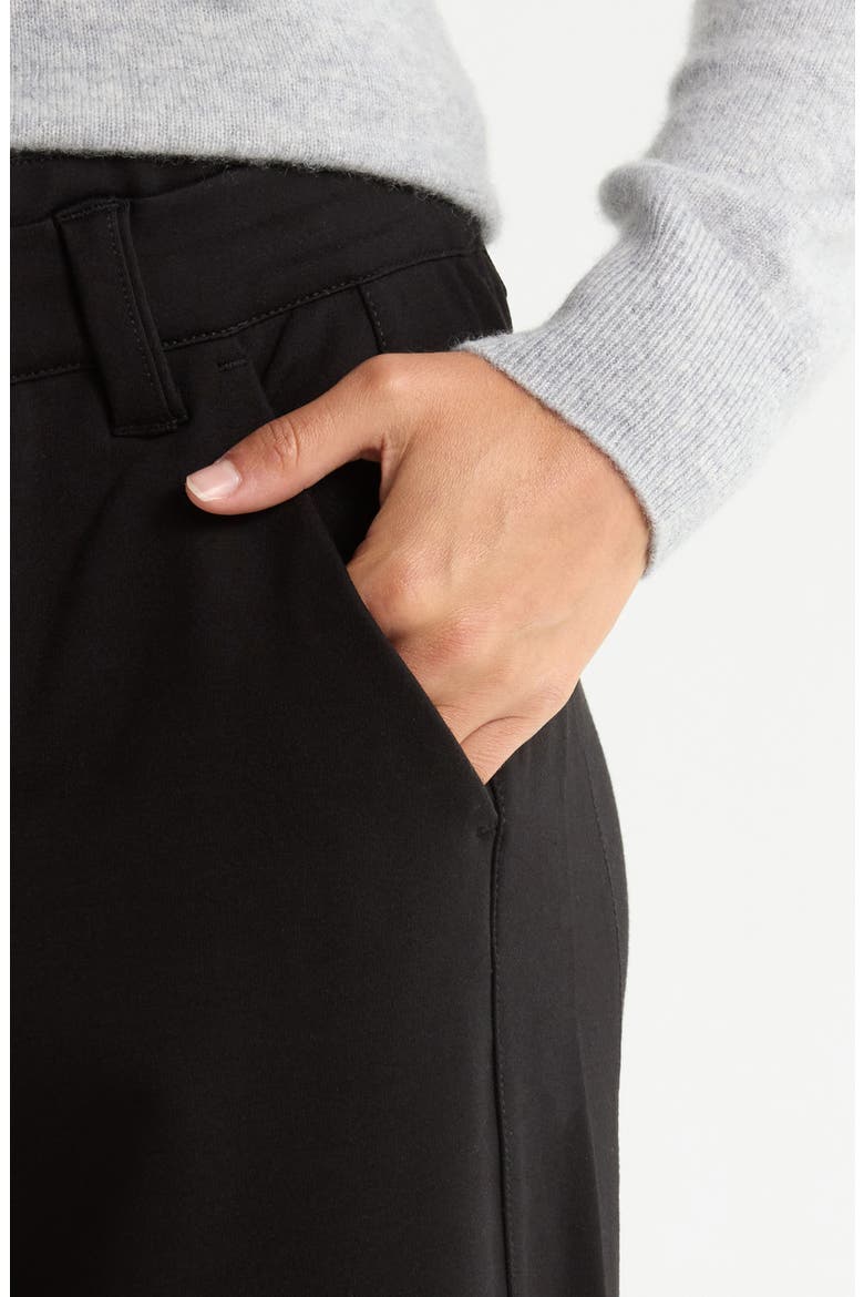 Skyrise Ankle Straight Leg Pants, Alternate, color, BLACK