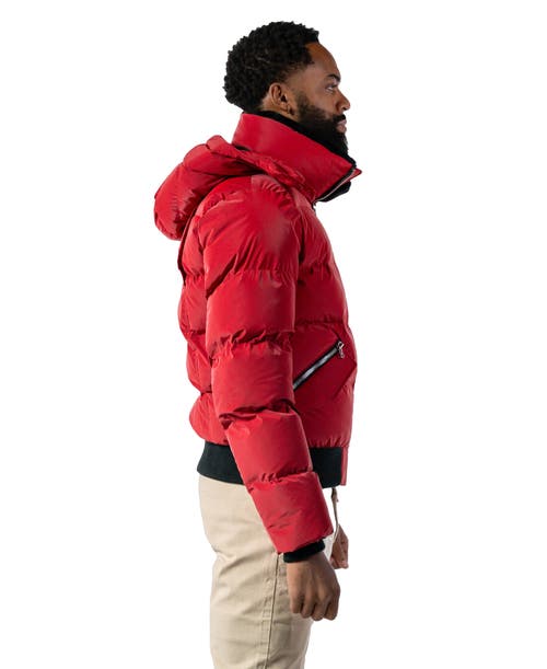 Woodpecker Woody Bomber Quilted Coat In Red