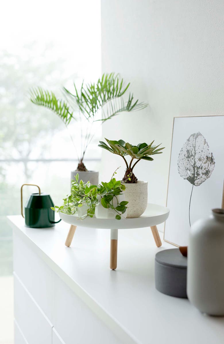 Yamazaki Three-Leg Tray Table, Alternate, color, White