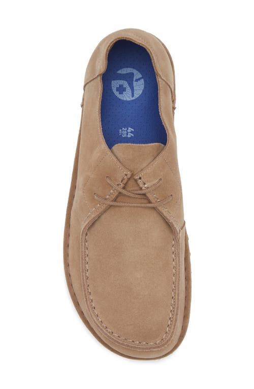 Birkenstock Utti Lace Up Deep Blue Loafers Gray Taupe In Gray Taupe