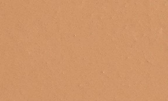 SHADE 10