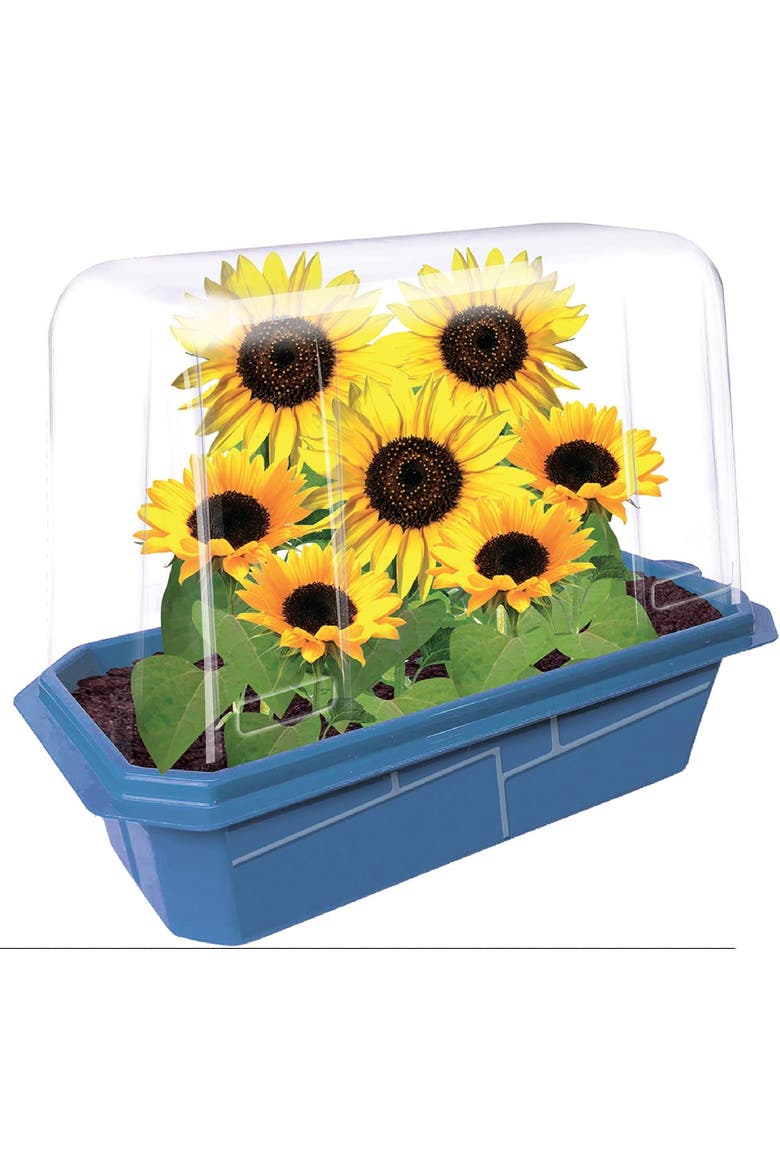Sunflower Growing Kit - Indoor Plant Seed Starter Set with Seeds, Soil, Planter, Main, color, None