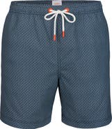 Swims Fiordo Swim Trunks