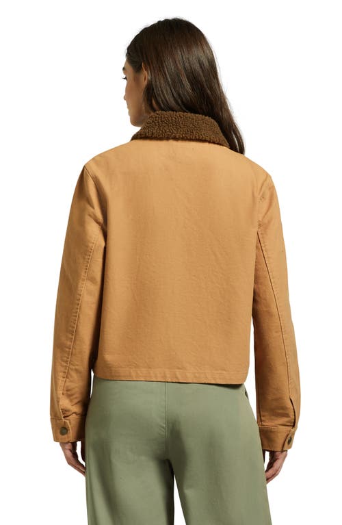 Brixton Mechanic's Garage Cotton Canvas Jacket In Brown