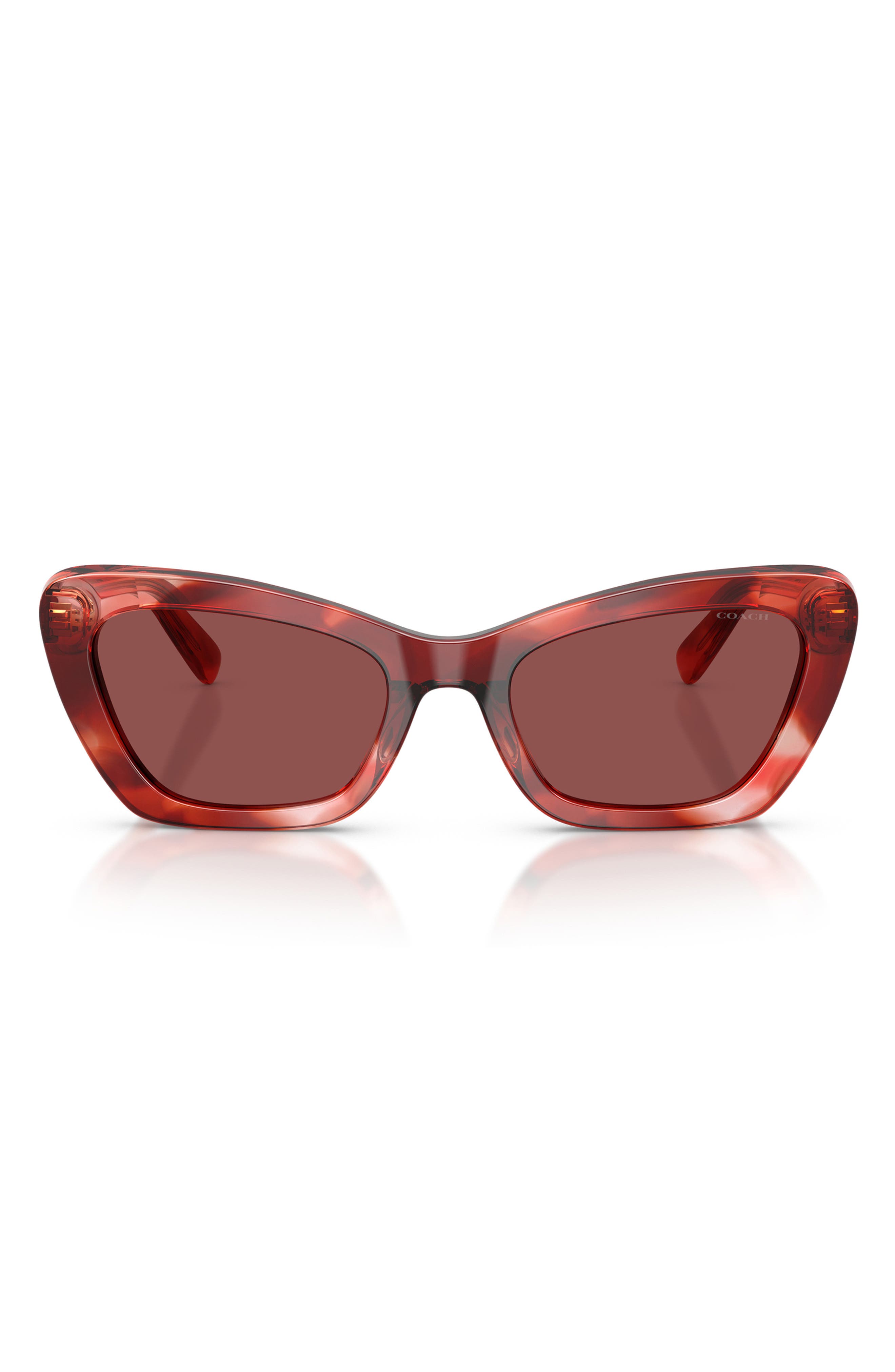 CHERRY TORTOISE / WINE SOLID