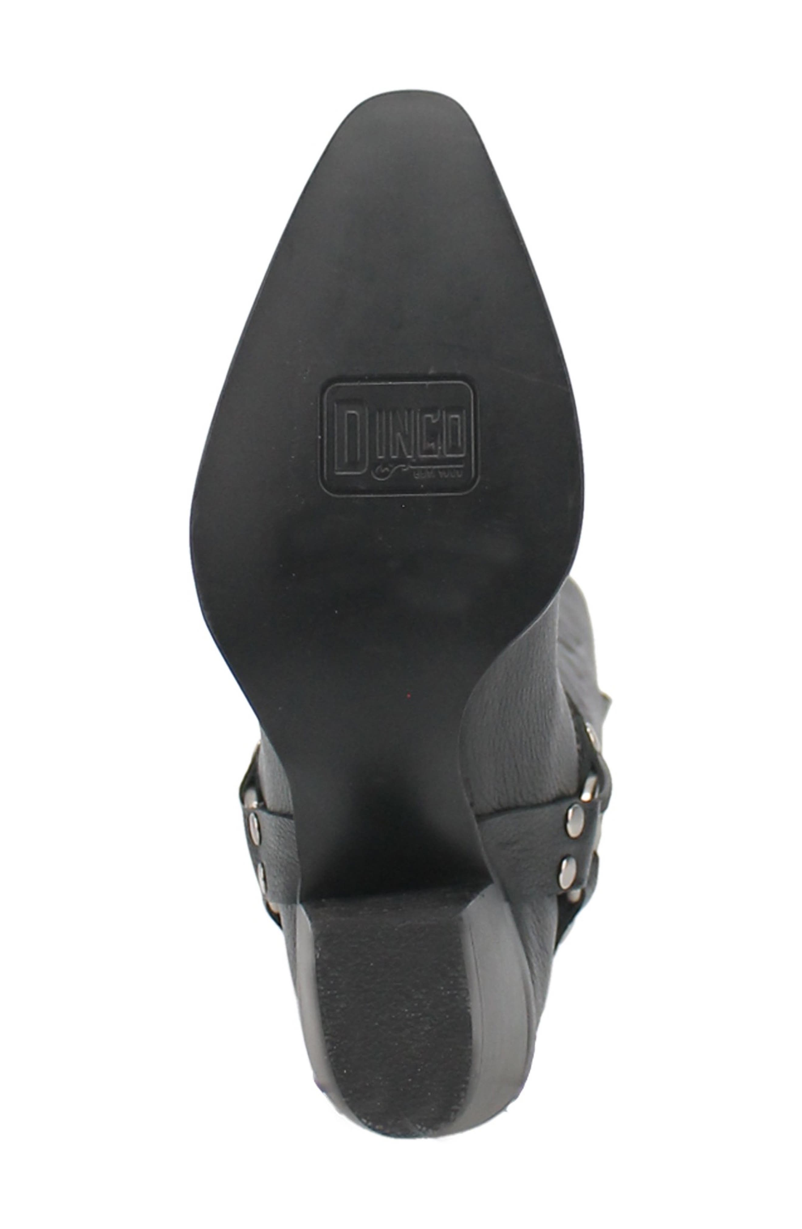 Dingo Heavens to Betsy Knee High Western Boot, Alternate, color, 