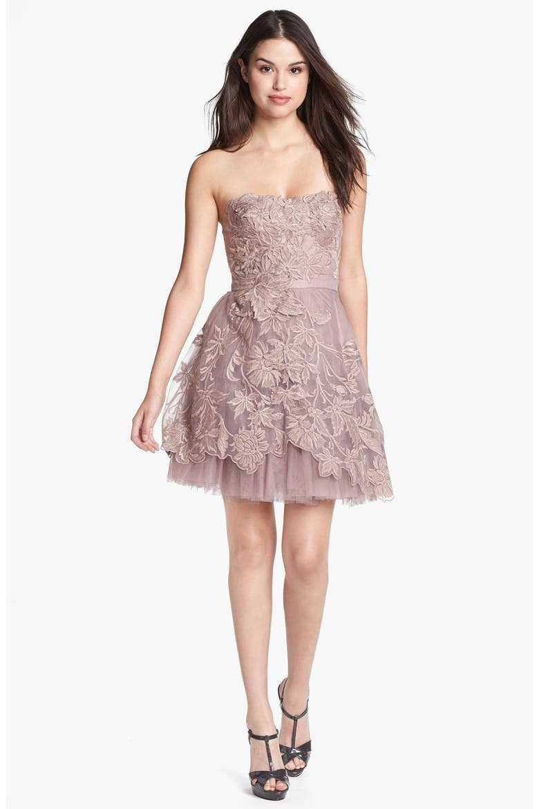 Embroidered Tulle Fit & Flare Dress, Main, color, ROSE GOLD
