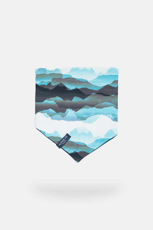 Shop Alpine Fit Mountain V Merino Wool Neck Warmer