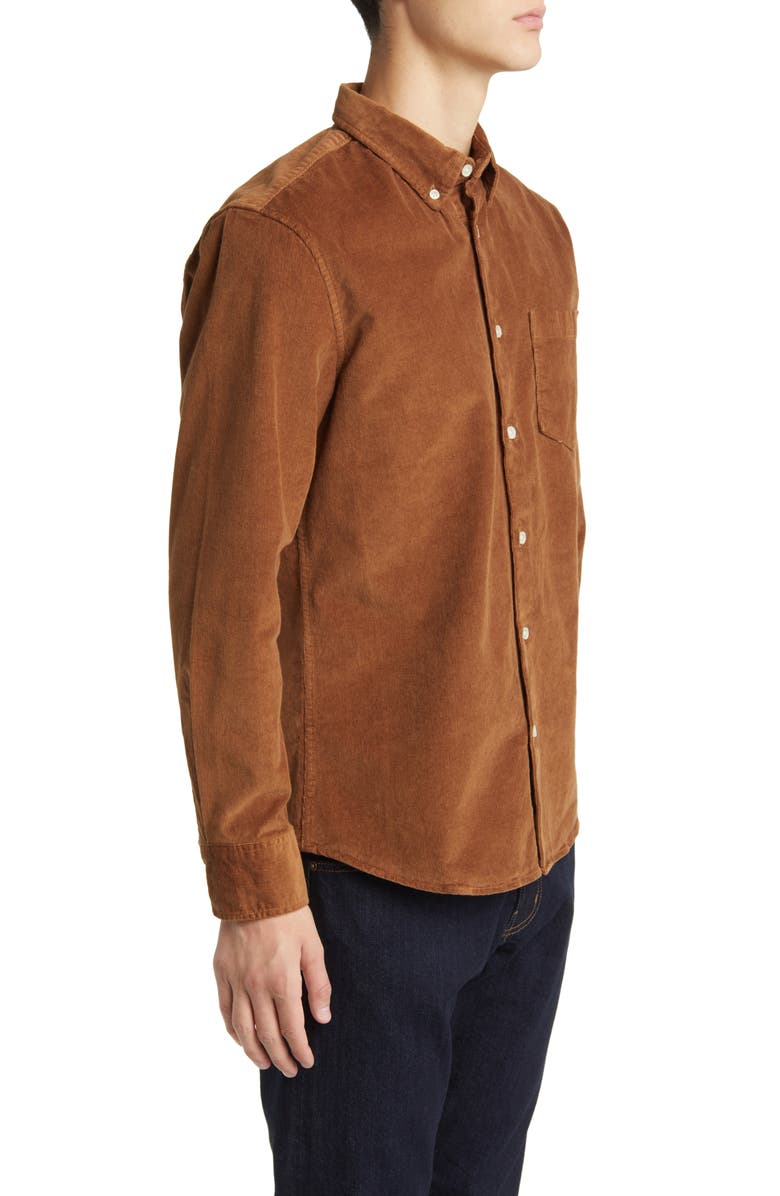 Nordstrom Tech-Smart Trim Fit Stretch Cotton Button-Down Shirt, Alternate, color, Brown Partridge