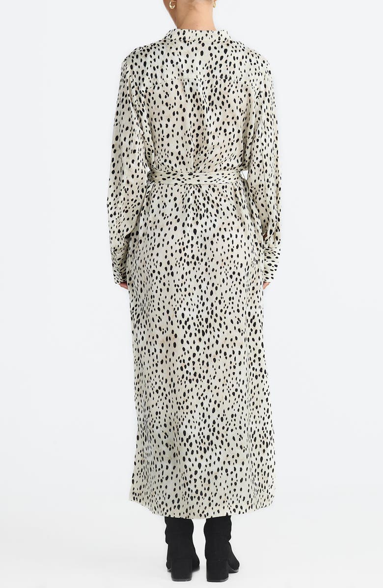 Brave+True Sampson Print Tie Waist Long Sleeve Maxi Dress, Alternate, color, Ocelot