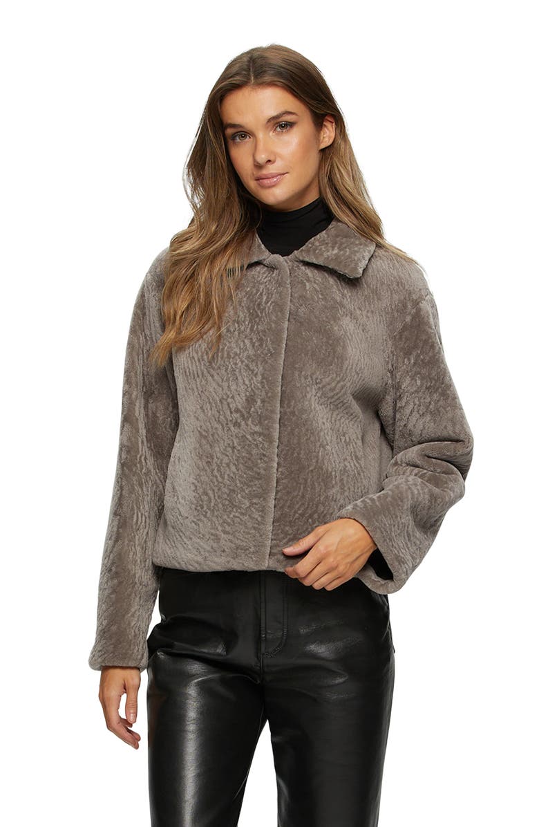 GORSKI Textured Genuine Shearling Short Jacket, Main, color,
