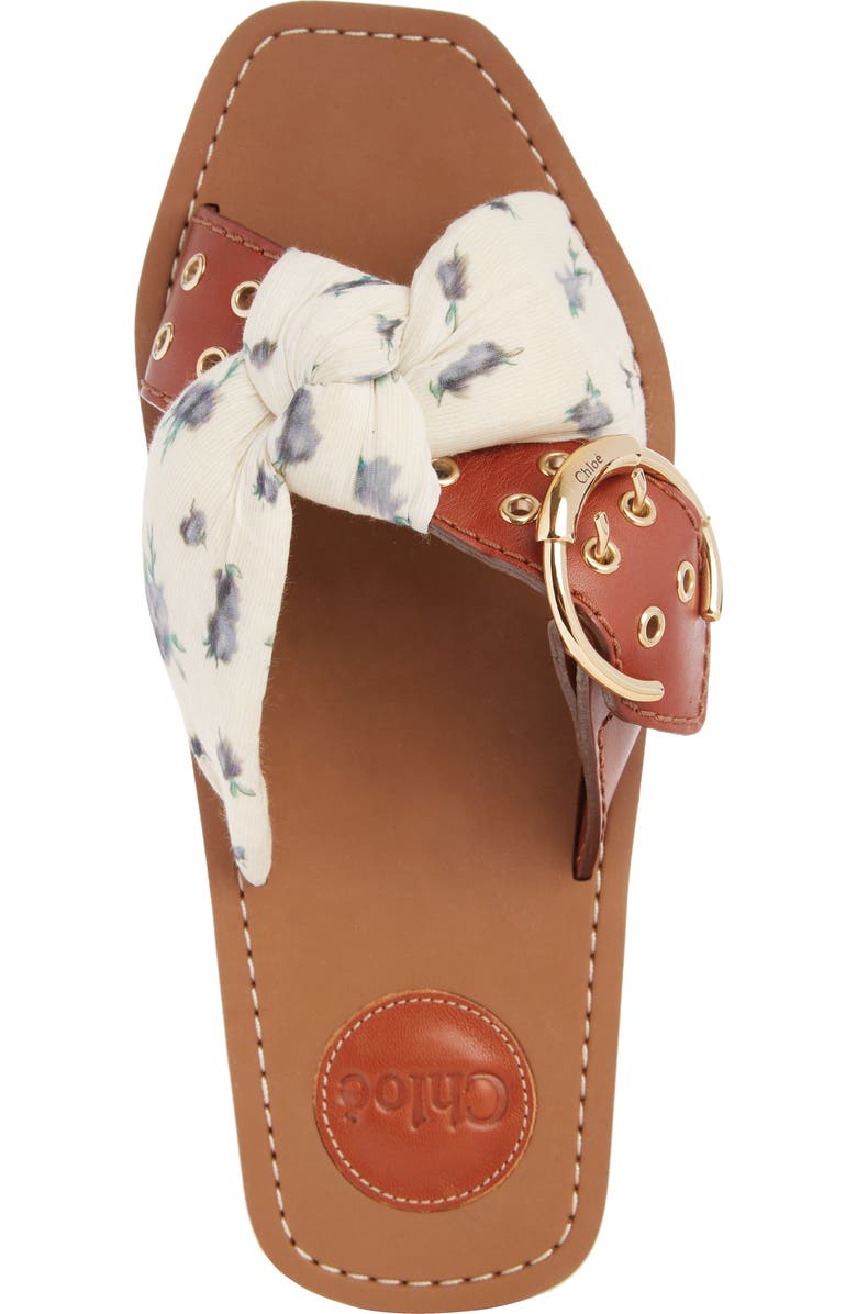 Chloé Woody Buckle Slide Sandal, Alternate, color,