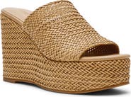 Steve Madden Cassi Platform Wedge Slide Sandal