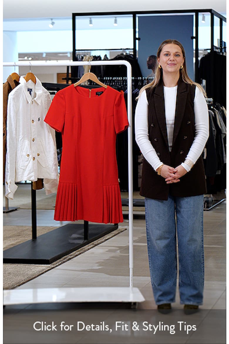 Pleat Detail Short Sleeve Dress video