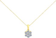 Haus of Brilliance 14K Yellow Gold 1.00 Cw Diamond 7 Stone Floral Cluster Pendant Necklace