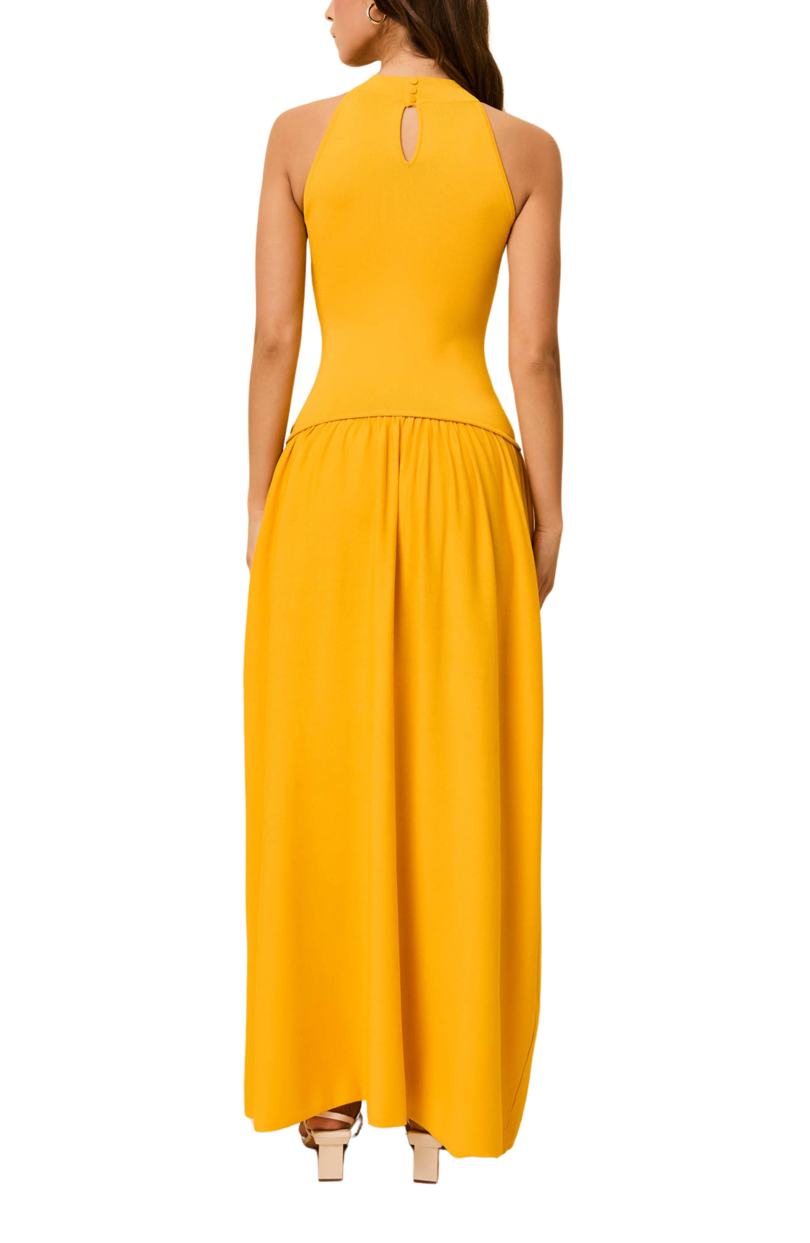 The Isola Sleeveless Maxi Dress - image 2