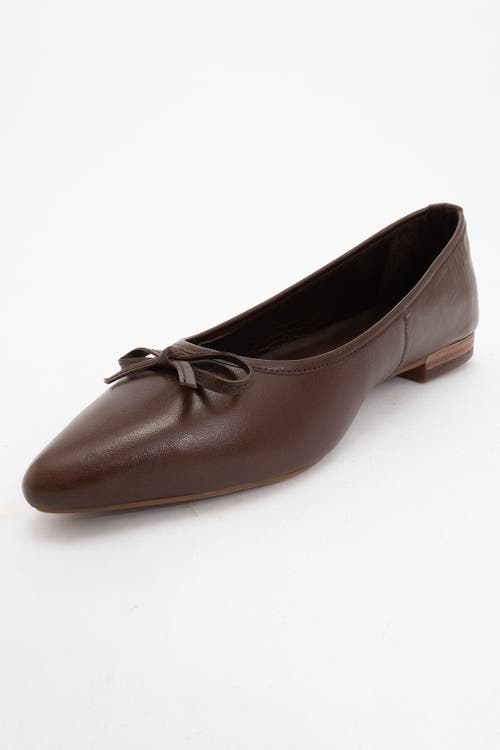 Forever & Always Shoes Ruby Leather Pointed Toe Flats In Brown Leather