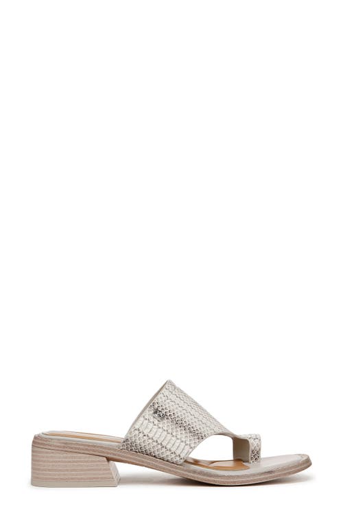 Franco Sarto Sia Slide Sandal In Gray