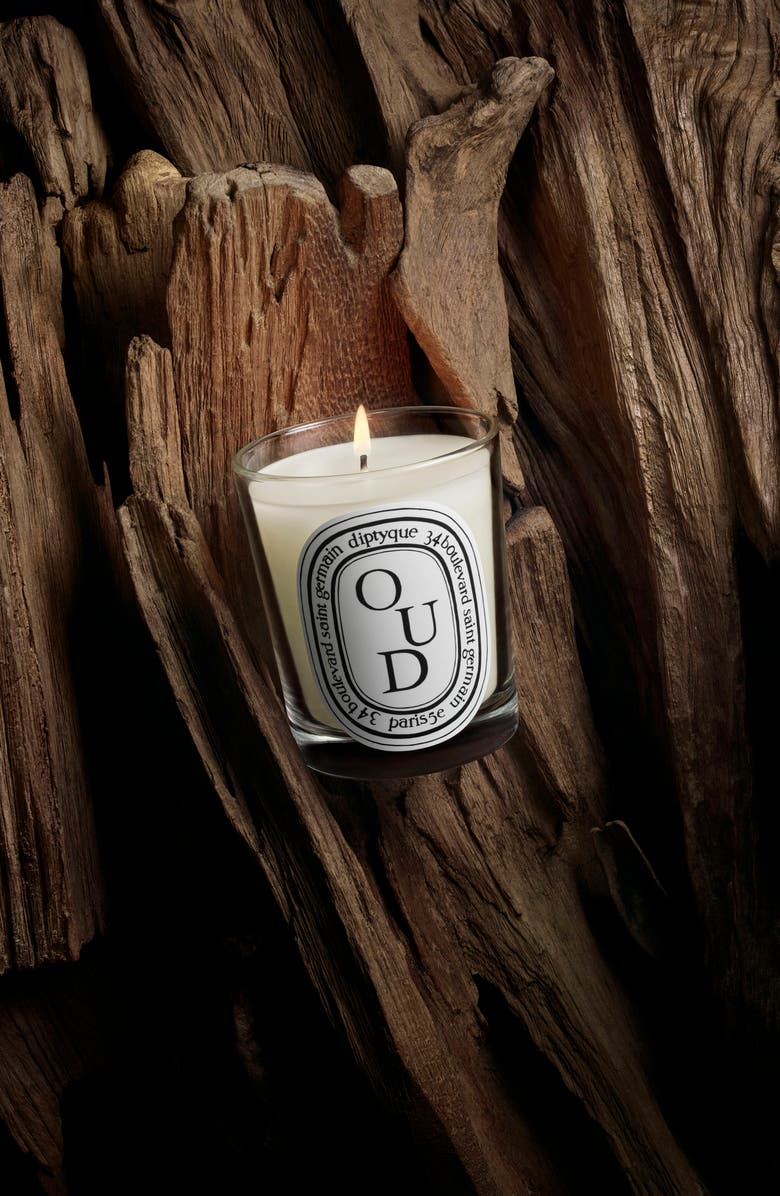 Diptyque Oud Scented Candle, Alternate, color, 