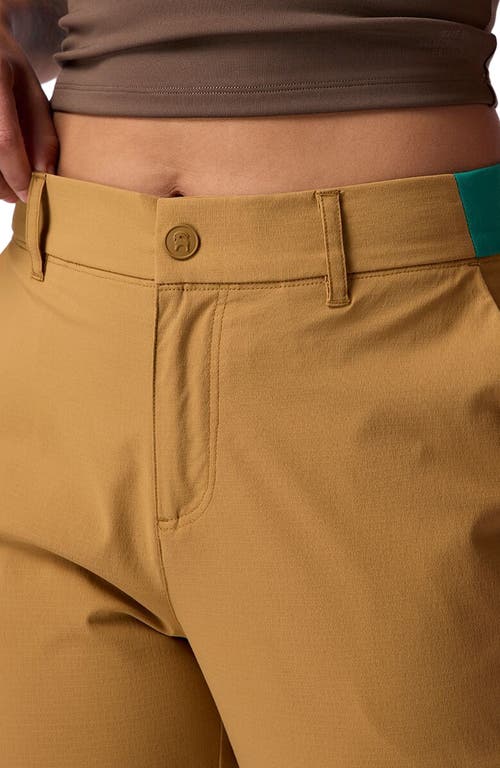 Backcountry Wasatch Ripstop Trail Pant In Brown