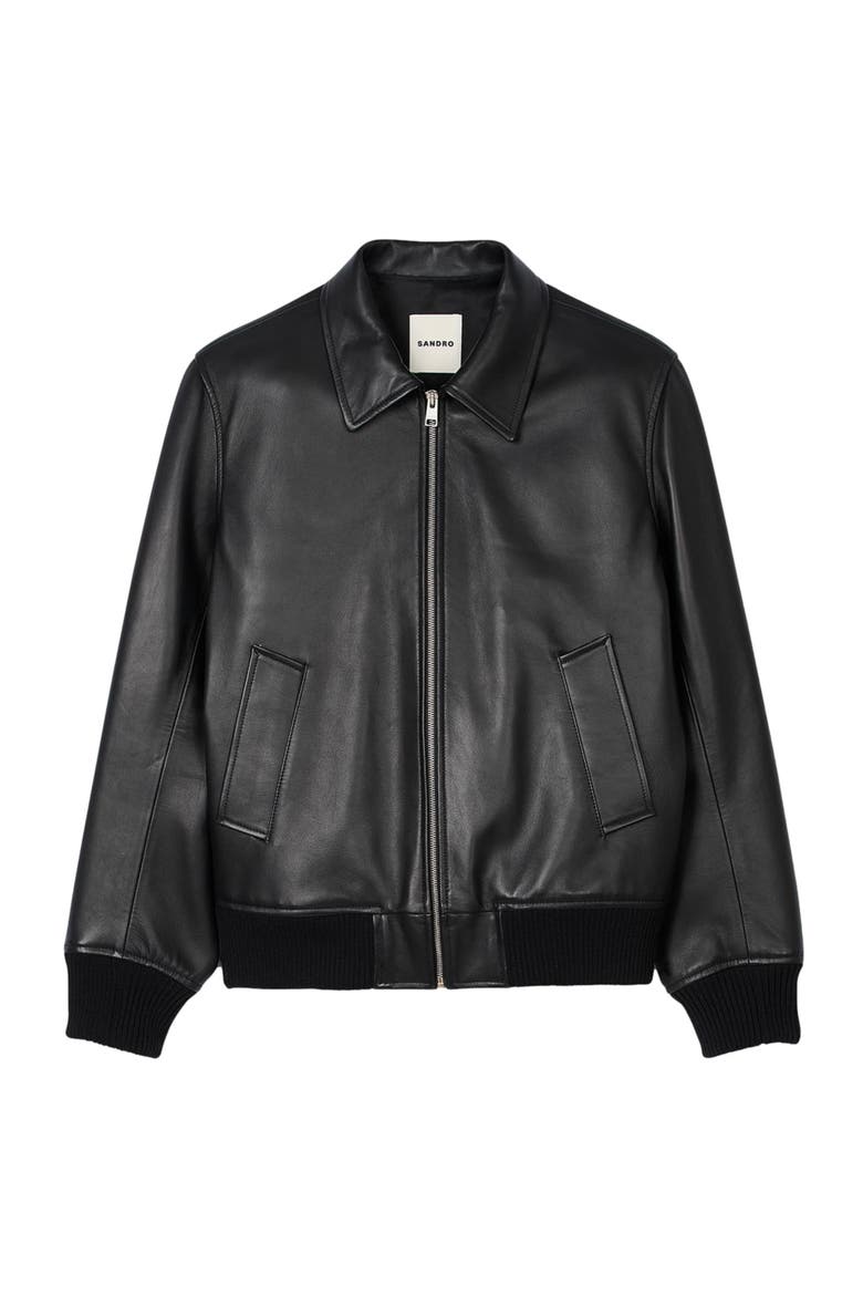 Plain leather jacket, Alternate, color, Black