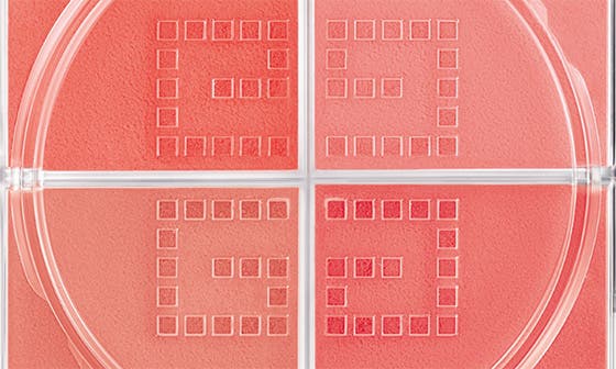 N03 VOILE CORAIL