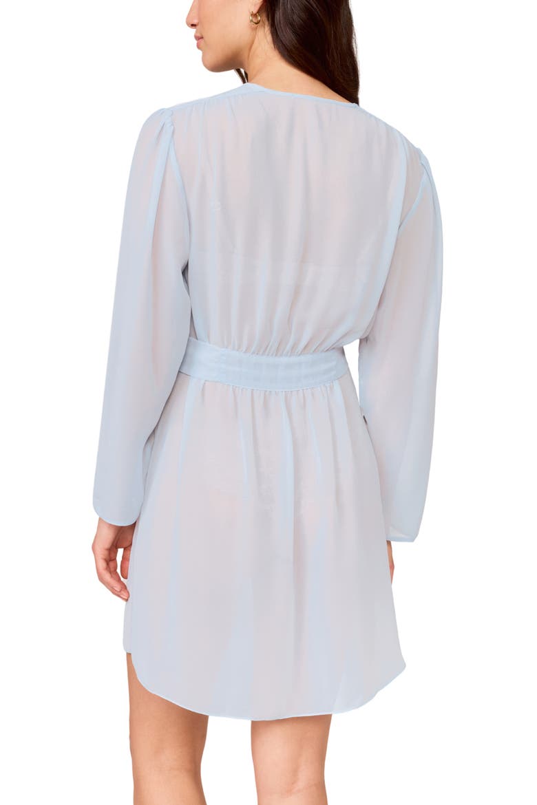 Lovely Sheer Chiffon Wrap, Alternate, color, MARIAN BLUE
