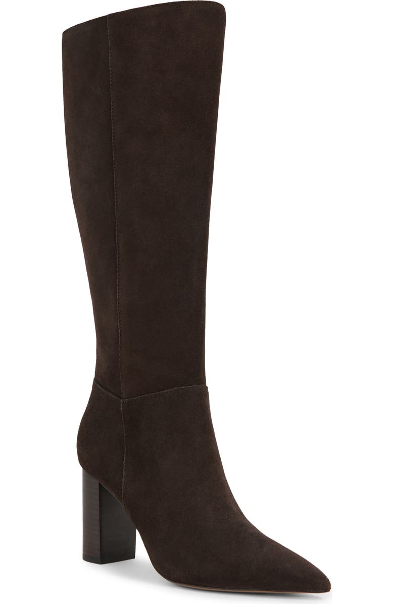 Reiss Bianca Pointed Toe Knee High Boot, Main, color, Chocolate