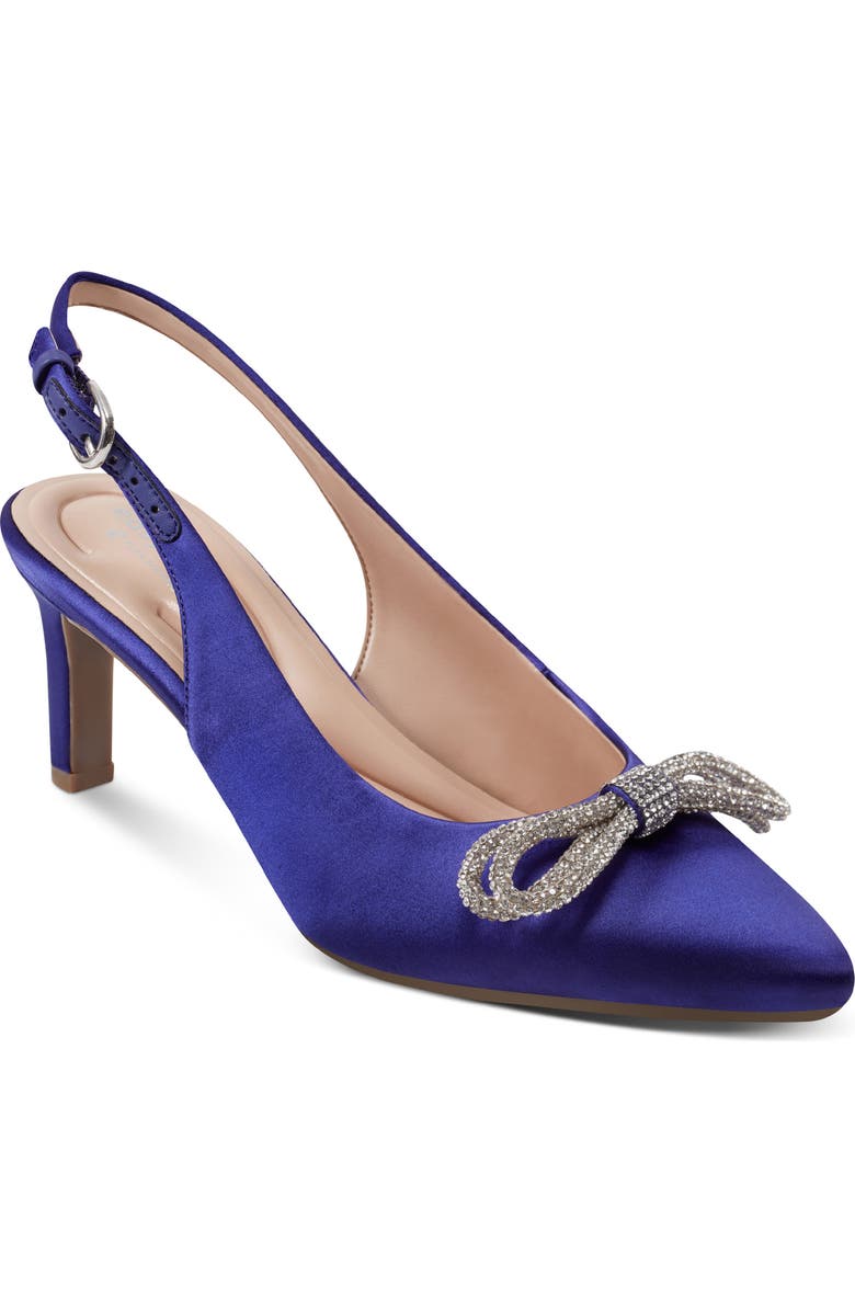 Easy Spirit Roxanne Slingback Pointed Toe Pump, Main, color, Dbl01