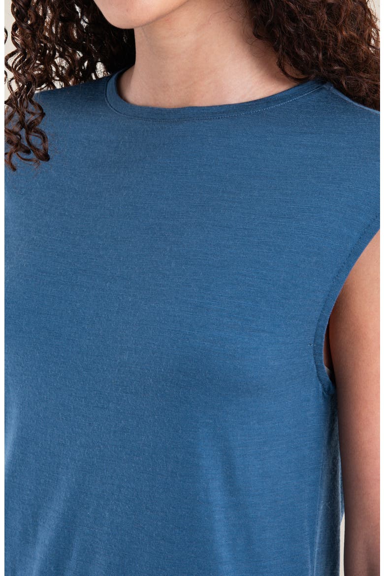 Granary Cap Sleeve Merino Wool T-Shirt Dress, Alternate, color, DAWN